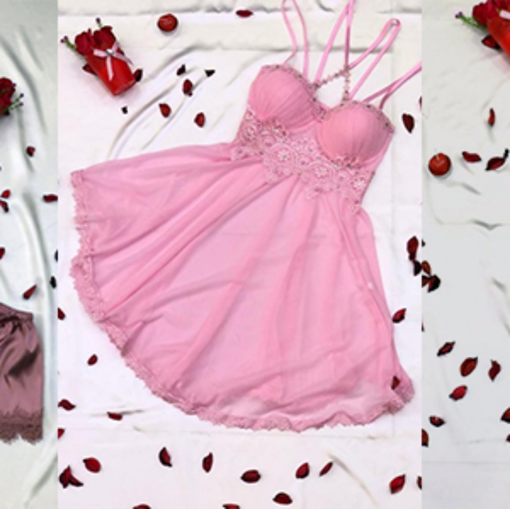 Vintage Sheer and Lace Slip